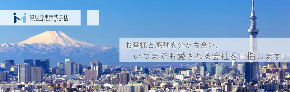 東京 賃貸 マンション 戸建 不動産のことなら–望月商事株式会社